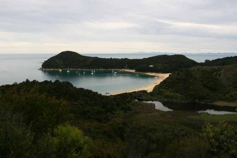 Nieuw-Zeeland 2011 - 1055